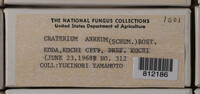 Craterium aureum image